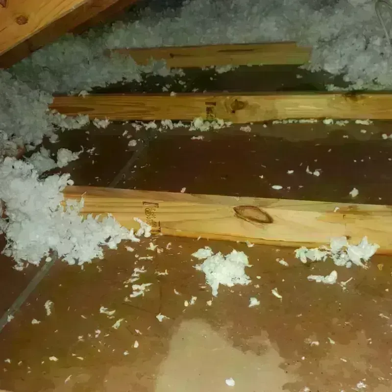 Attic Water Damage in Sinton, TX